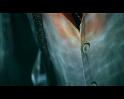 PDVD_3828