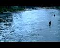 PDVD_3975
