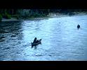 PDVD_3976
