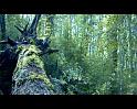 PDVD_3980