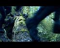PDVD_3981