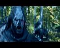 PDVD_3986