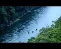 PDVD_3992
