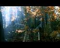 PDVD_4075