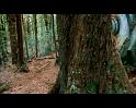 PDVD_4077