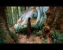 PDVD_4079