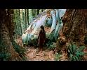 PDVD_4080