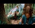 PDVD_4082