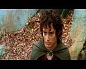 PDVD_4092