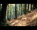 PDVD_4104