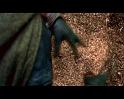 PDVD_4116