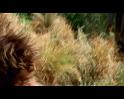 PDVD_4160