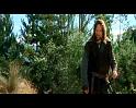 PDVD_4161