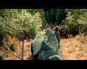 PDVD_4199