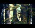 PDVD_4231