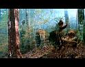 PDVD_4249