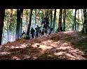 PDVD_4250