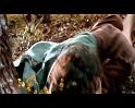 PDVD_4253