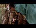 PDVD_4254