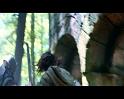PDVD_4257