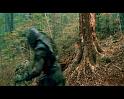 PDVD_4262