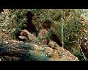 PDVD_4263