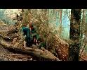 PDVD_4276