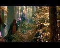 PDVD_4294