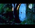 PDVD_442
