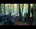 PDVD_4537