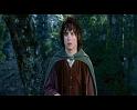 PDVD_4560