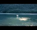 PDVD_4586