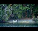 PDVD_4614