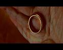 PDVD_532