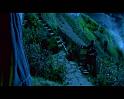 PDVD_549