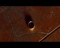 PDVD_555