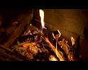 PDVD_560