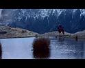 PDVD_608