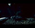 PDVD_628