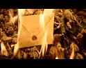 PDVD_683