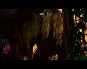 PDVD_811
