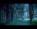 PDVD_831
