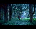 PDVD_832
