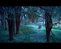 PDVD_844