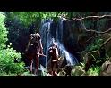 PDVD_852