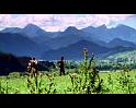PDVD_854