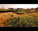 PDVD_860