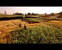 PDVD_861