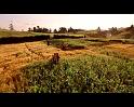 PDVD_864