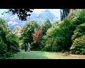 PDVD_881